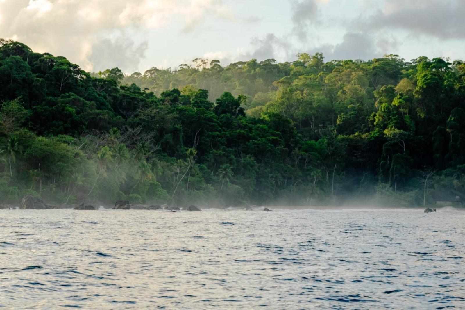 Hostel Corcovado Adventures Drake Bay