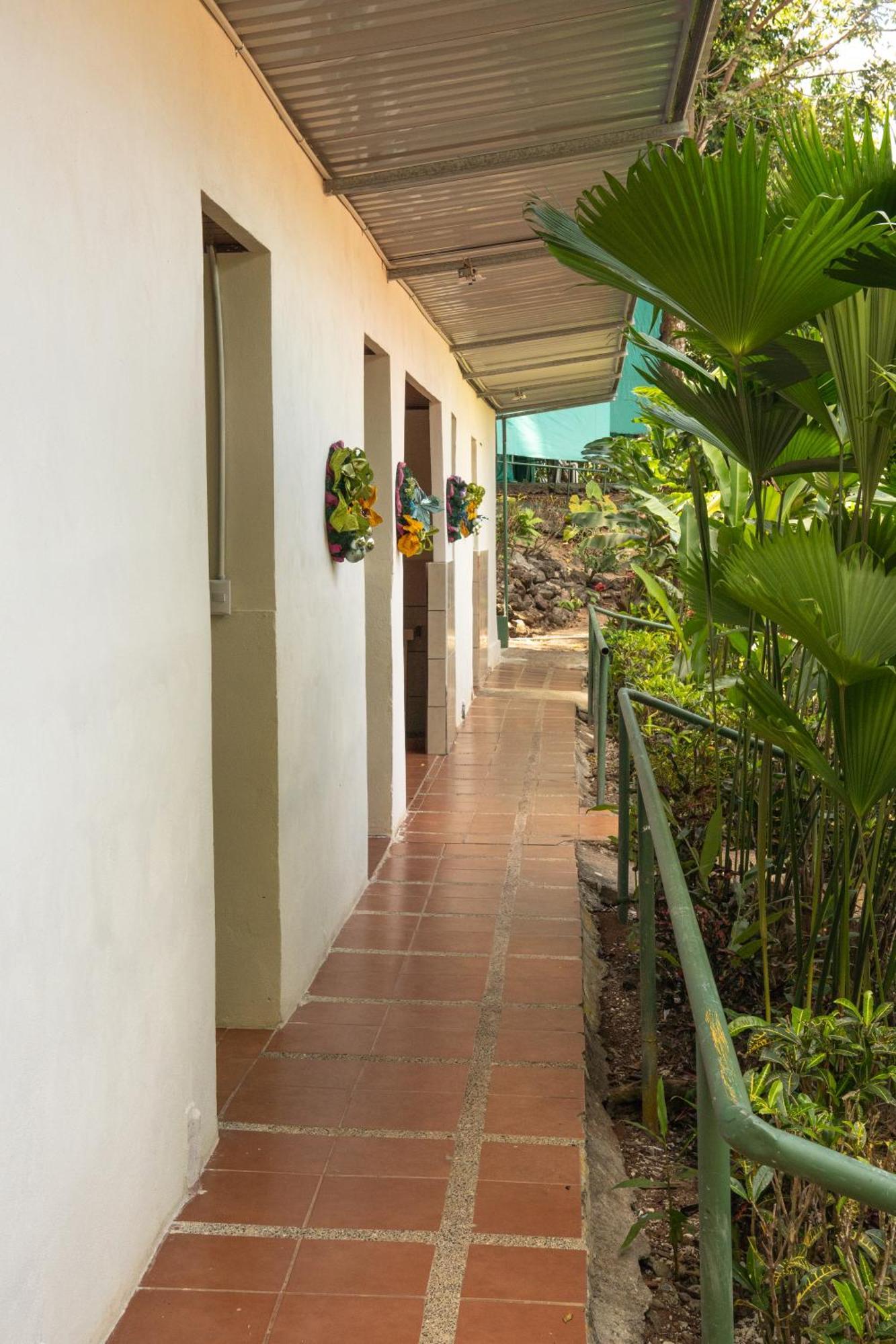 Corcovado Adventures Hostel *