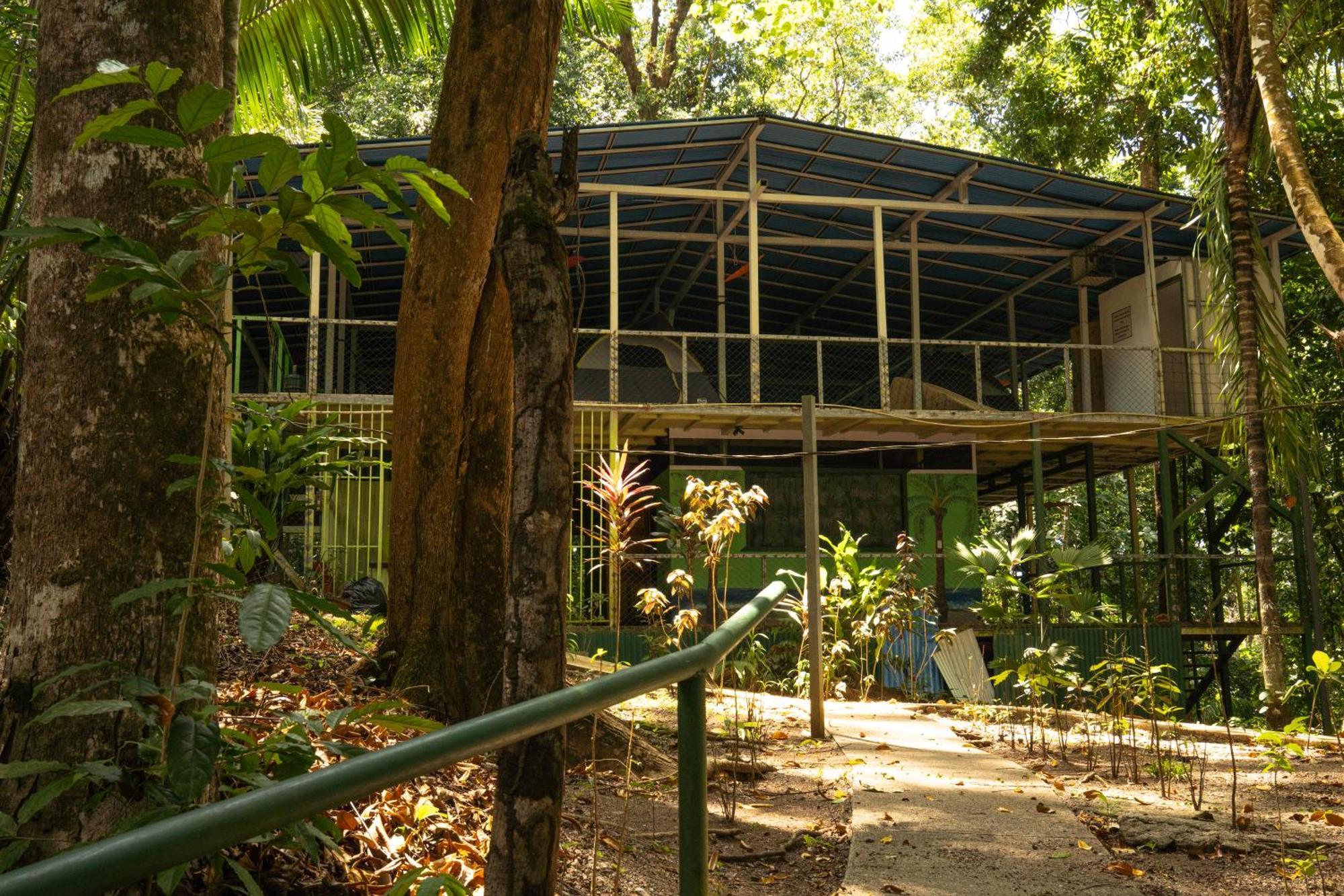 Corcovado Adventures Drake Bay