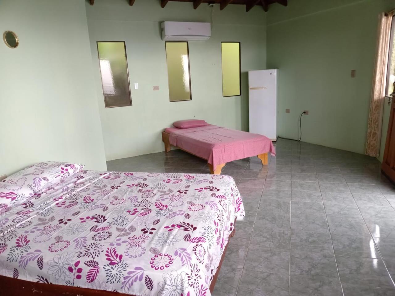 Ballena Paraiso
