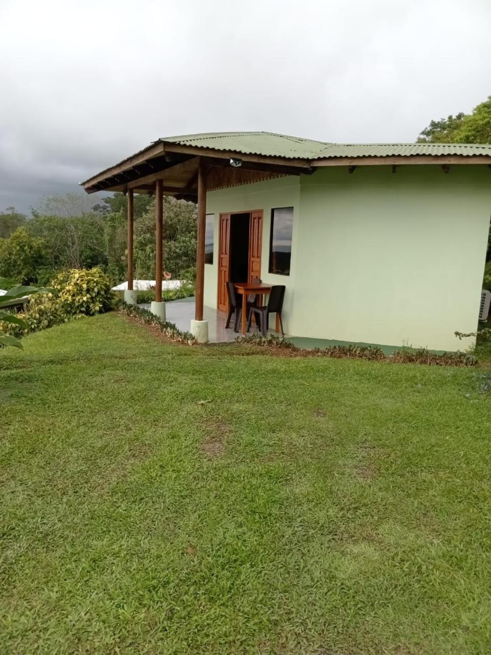 Ballena Paraiso