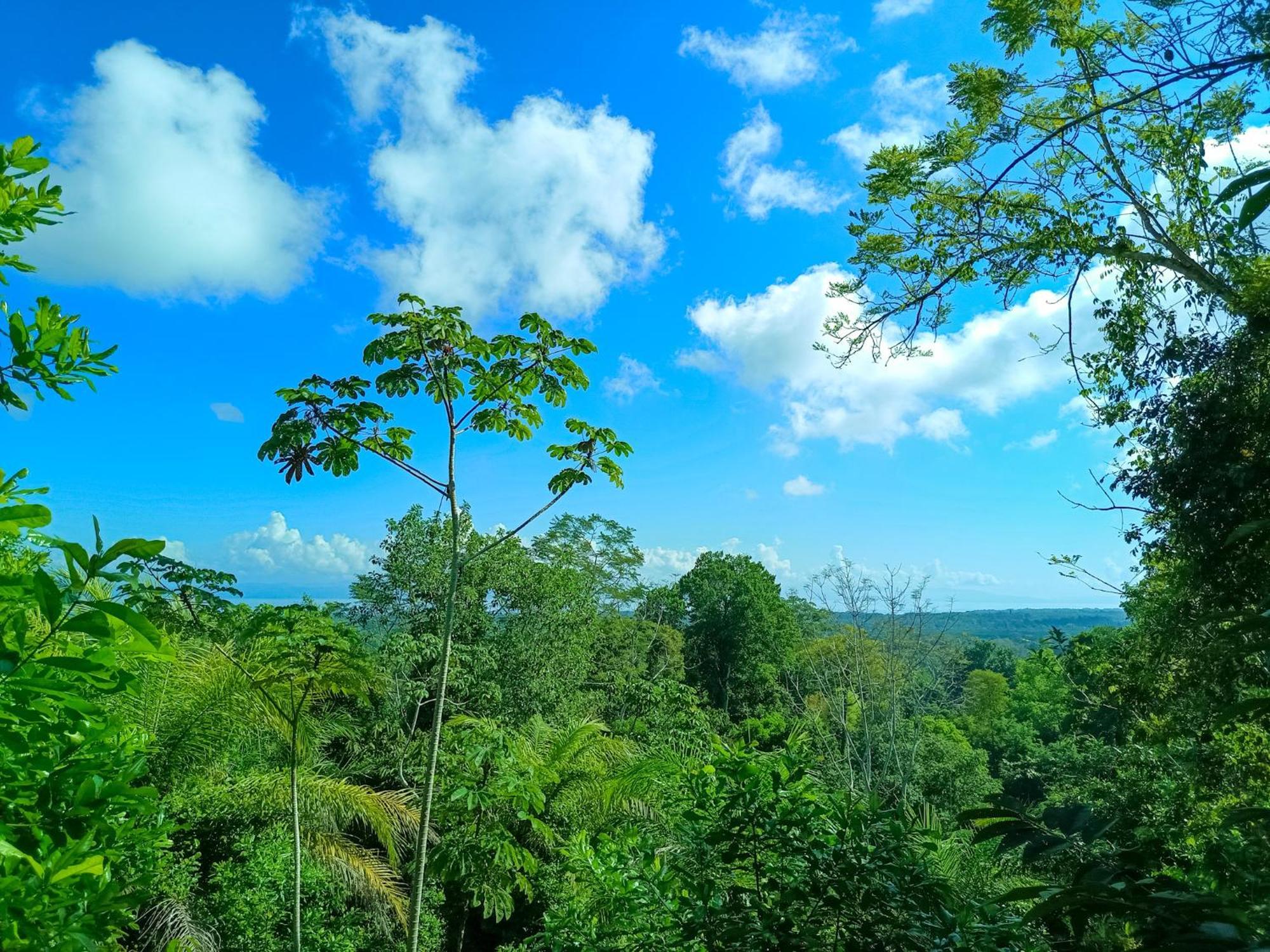 Osa Private Renting House-villas-tented-best Views-nature-comfort Villa *