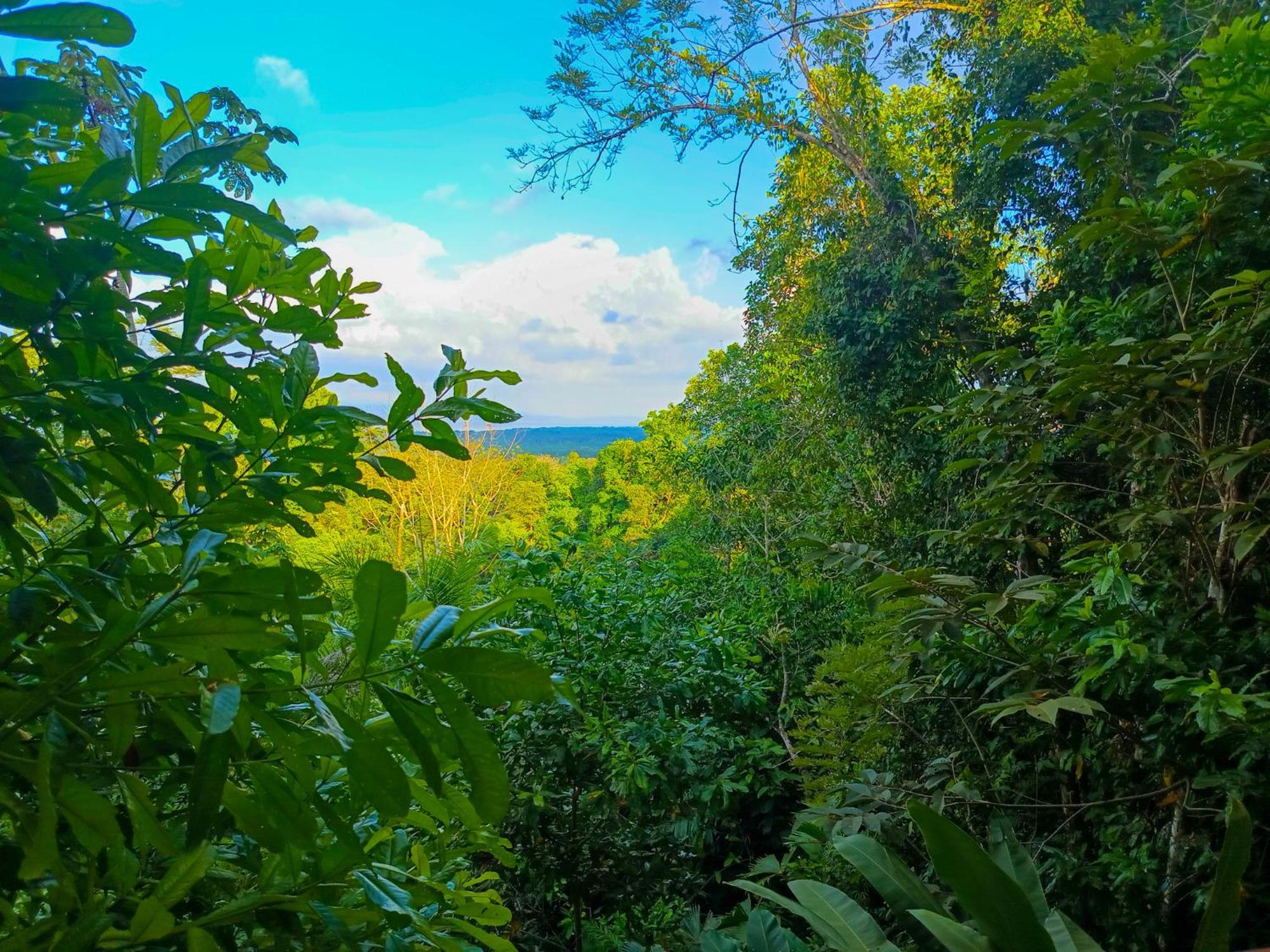 Osa Private Renting House-villas-tented-best Views-nature-comfort Villa