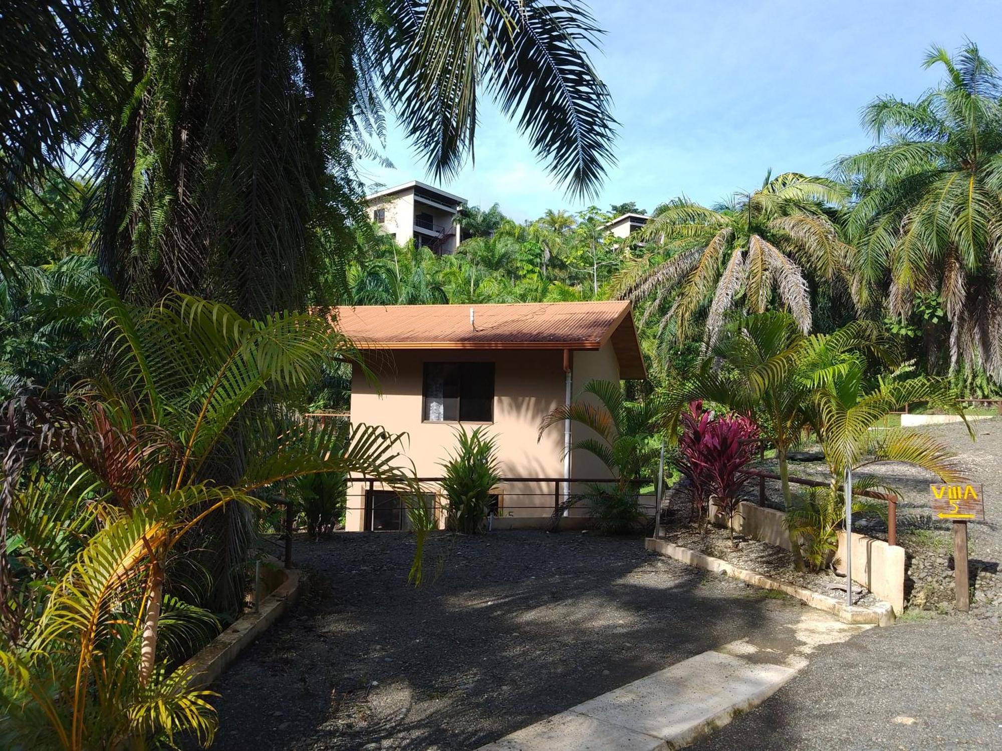 Osa Private Renting House-villas-tented-best Views-nature-comfort * Puerto Jimenez