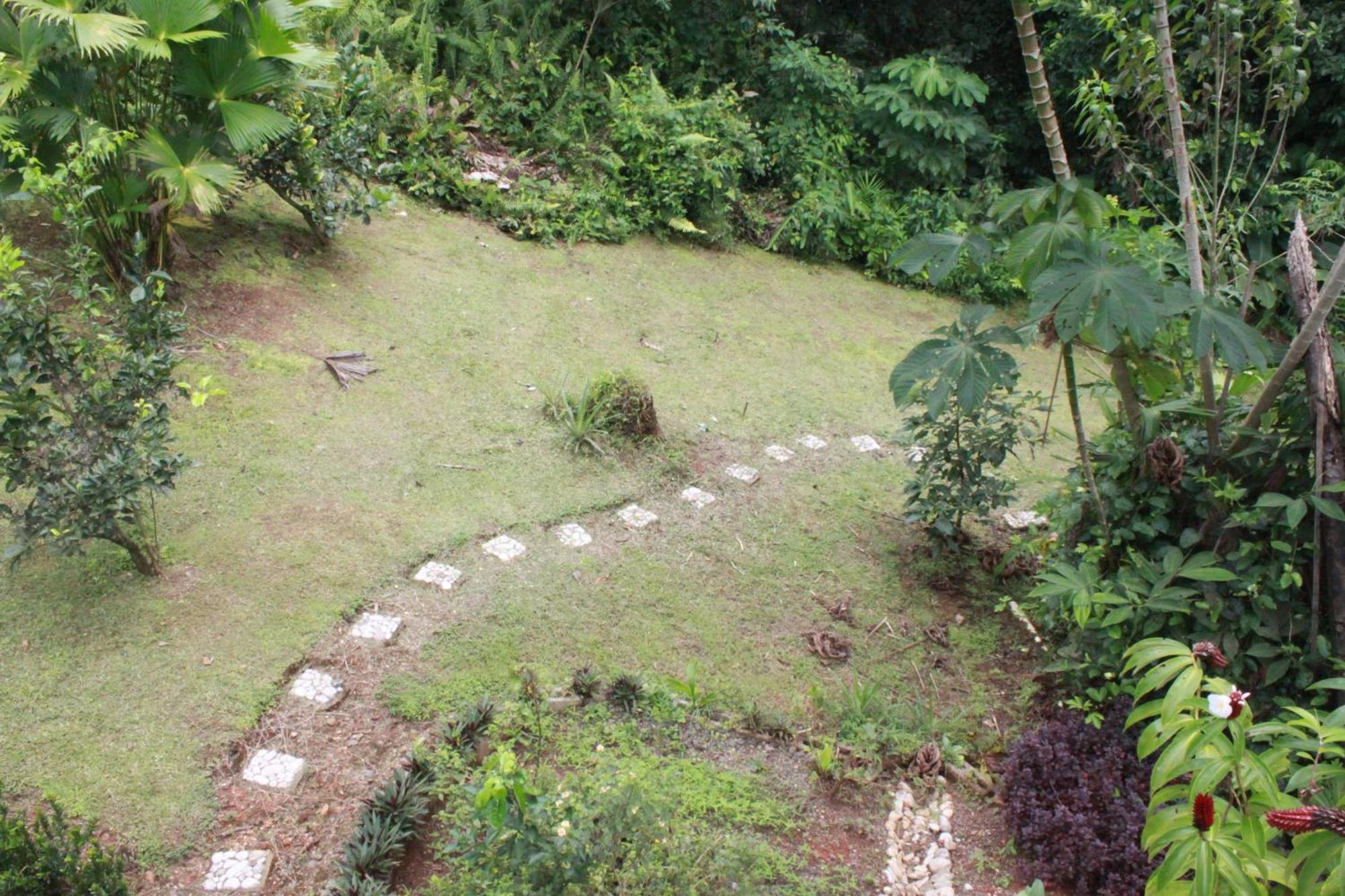 Osa Private Renting House-villas-tented-best Views-nature-comfort Puerto Jimenez
