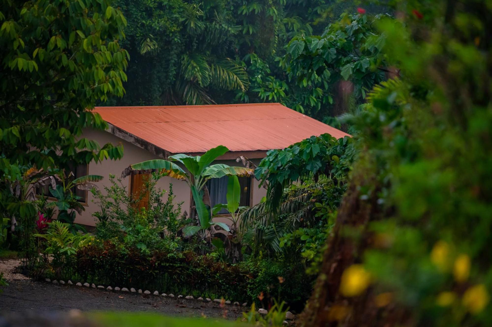 Osa Private Renting House-villas-tented-best Views-nature-comfort Villa