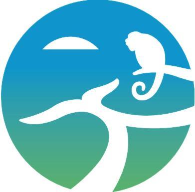 Ballena Paraiso *