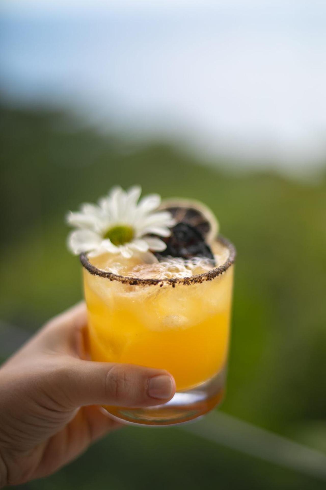 Divinity Costa Rica Luxury Dominical