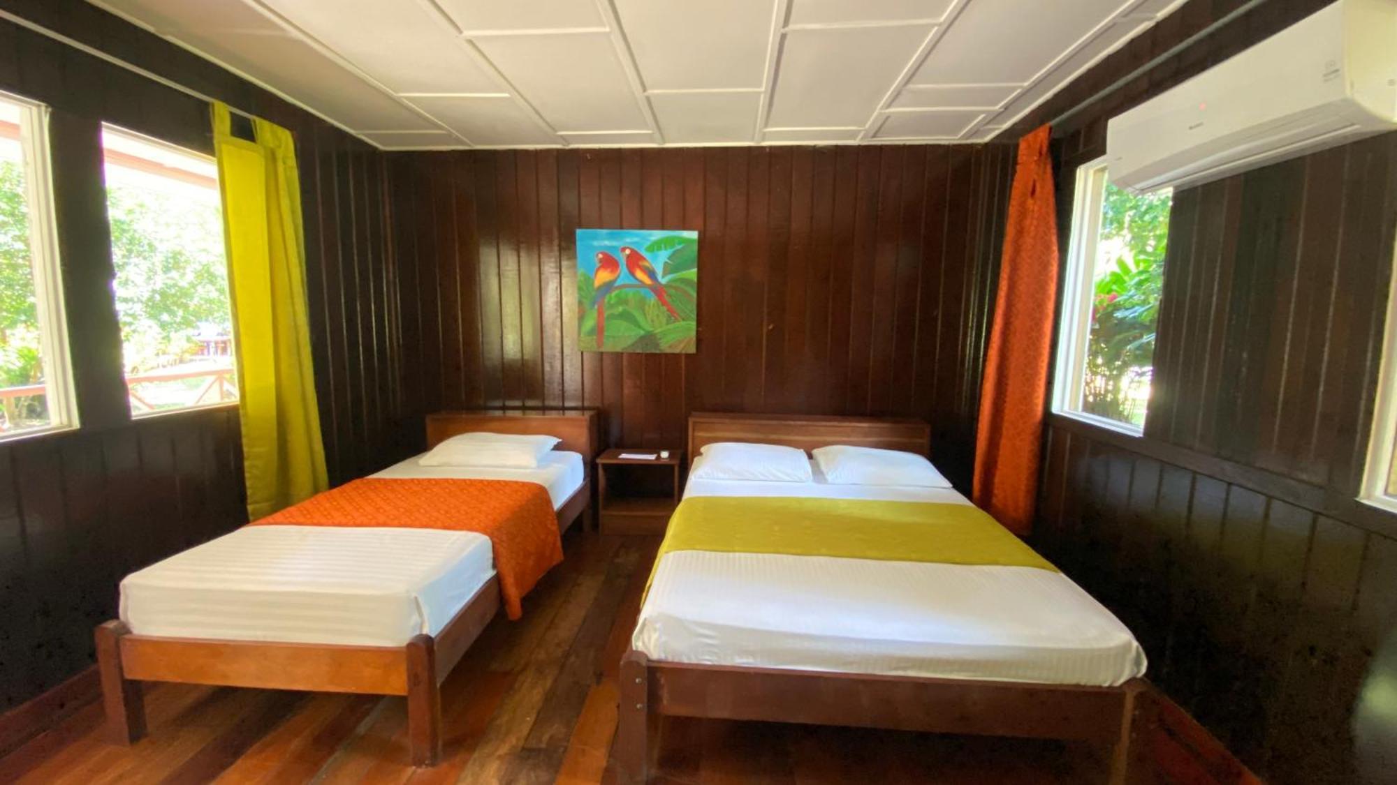 Baula Tortuguero