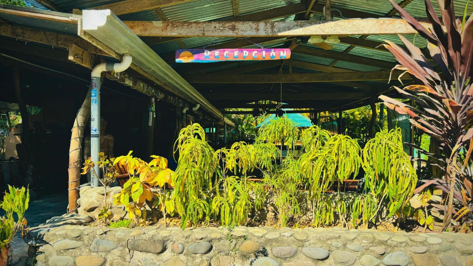 Mal Pais Surf Camp