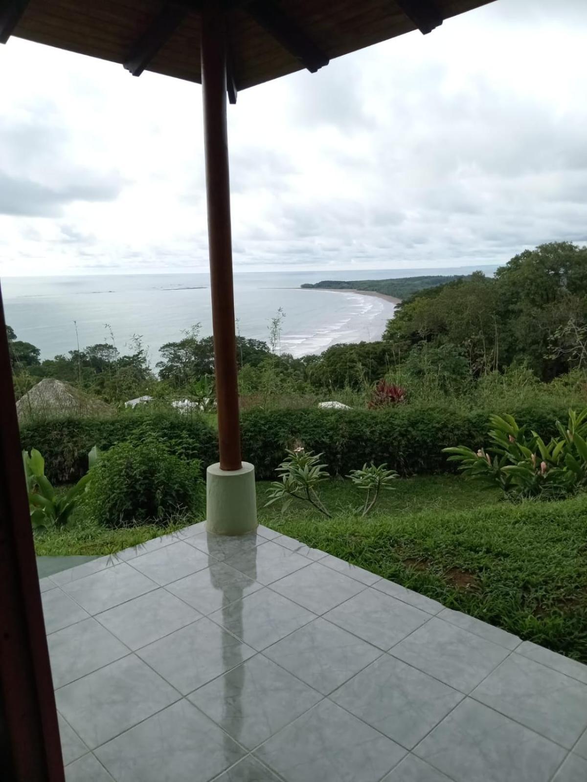 Ballena Paraiso *