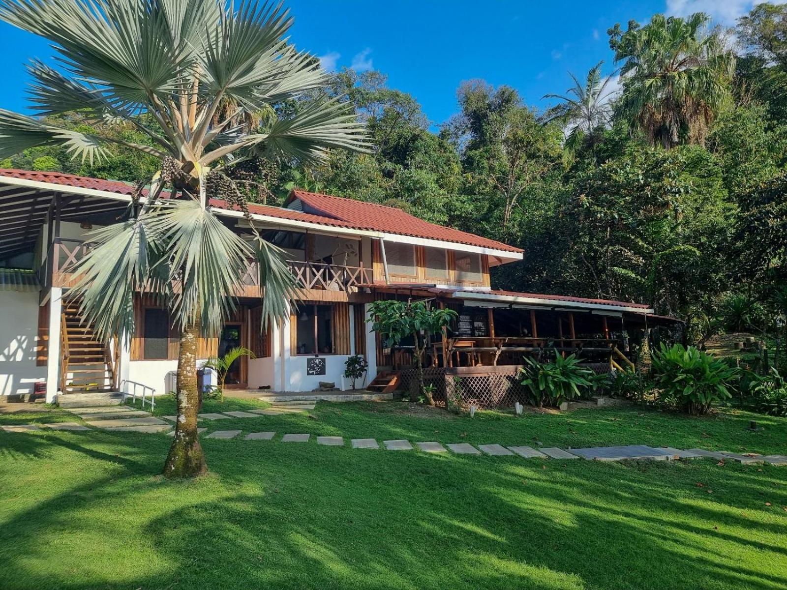 The Jaguars Jungle Rainforest - Meals Included (adults Only) San Pedrillo