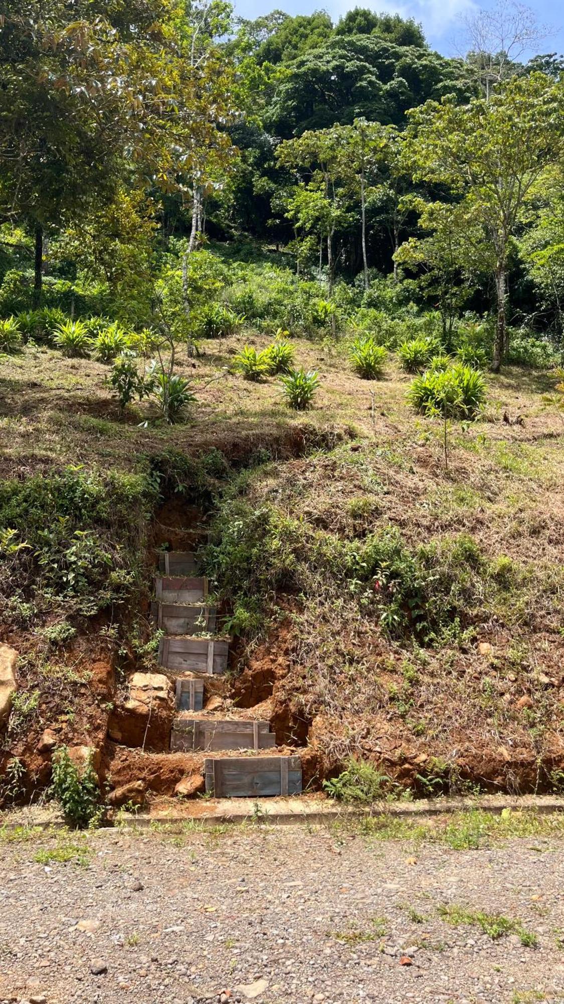 Paraiso Celeste * Bijagua