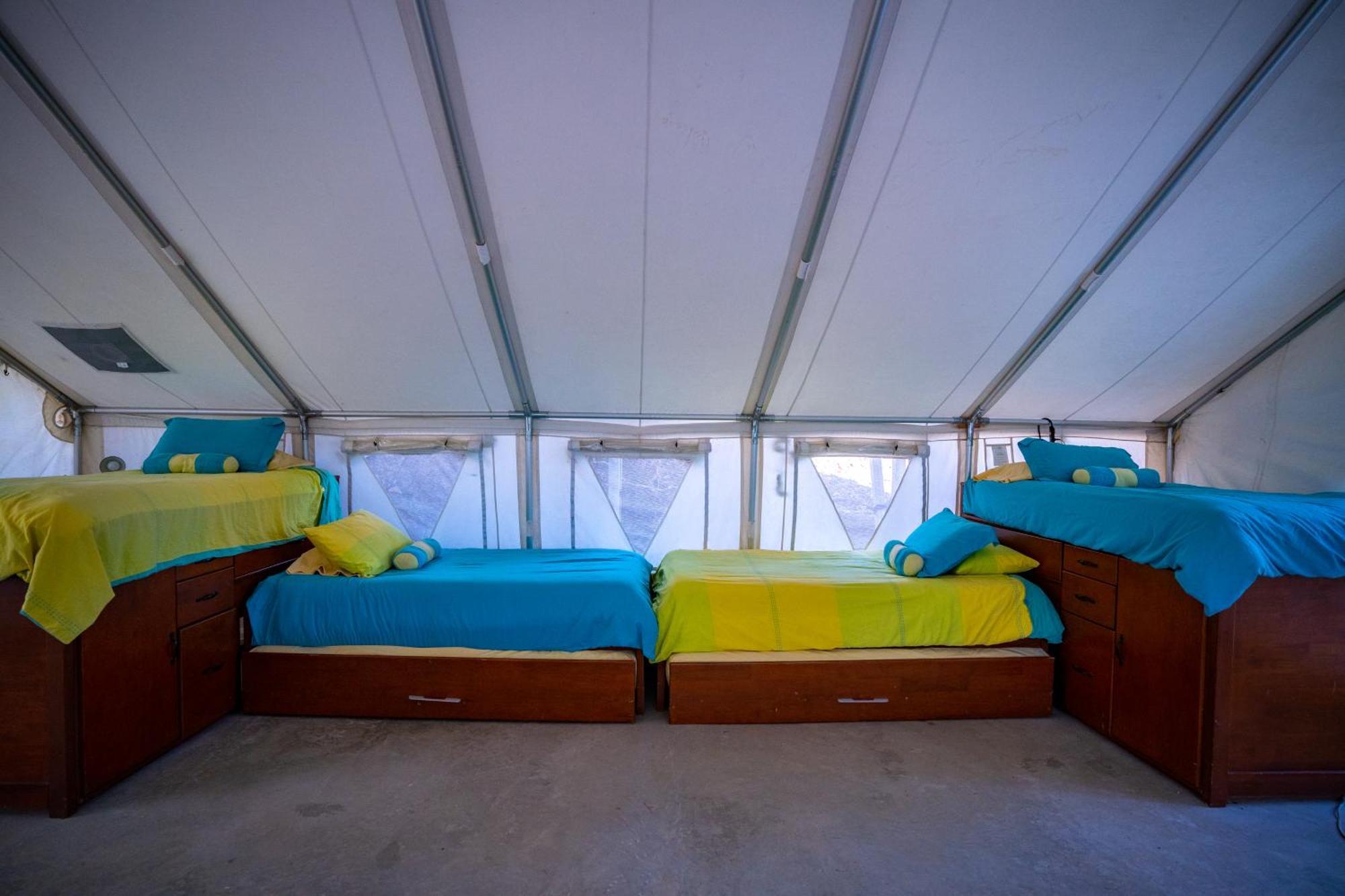 Luxury tent Guanaglamp *