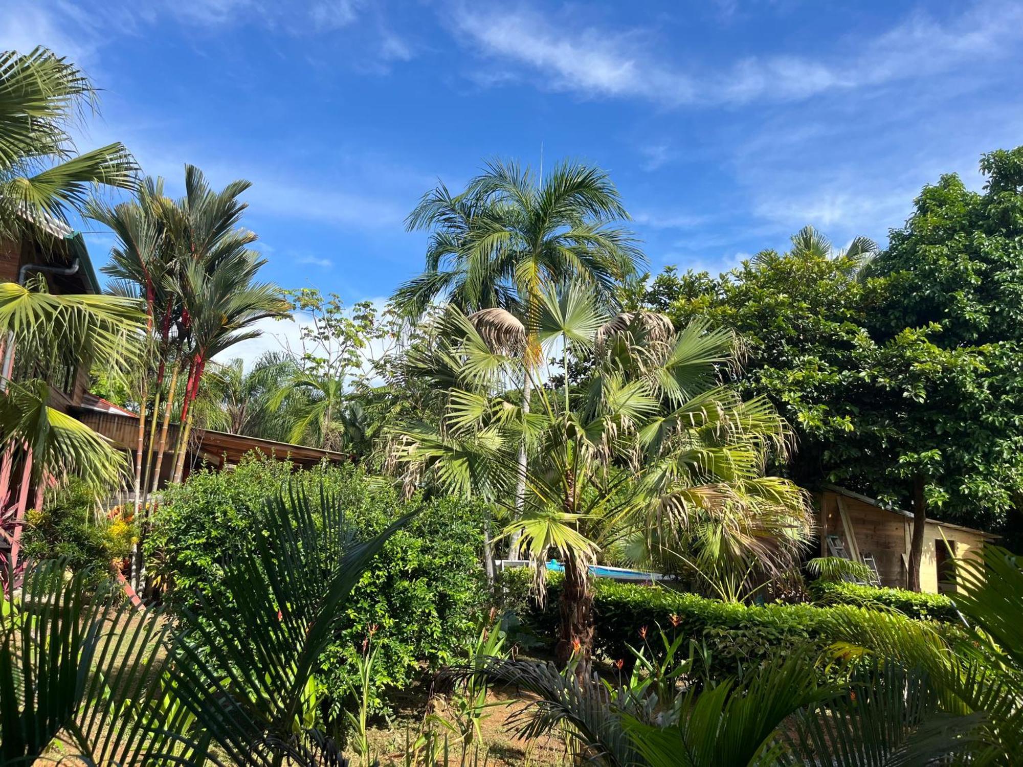 Oasis Retreat With And Holiday home *