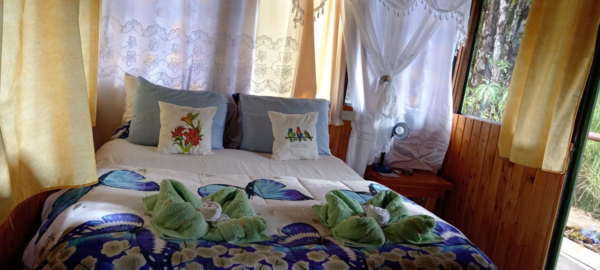 Bed & Breakfast Miriam's Quetzals *