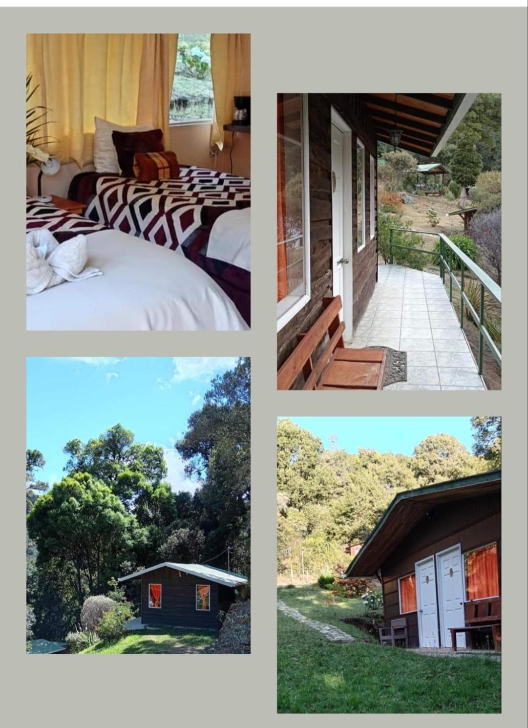 Bed & Breakfast Miriam's Quetzals San Gerardo de Dota