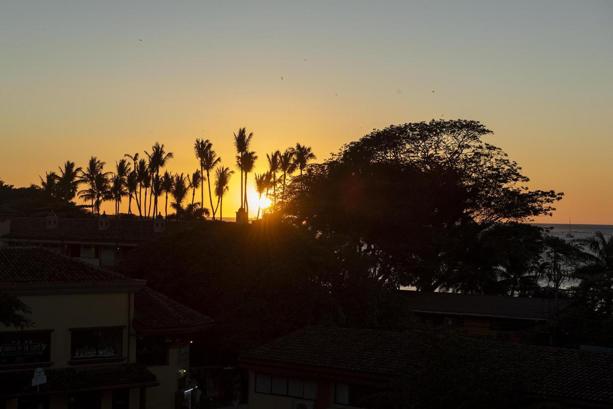 Apartment Sunrise 43 - 2 Bedroom Ocean View Tamarindo
