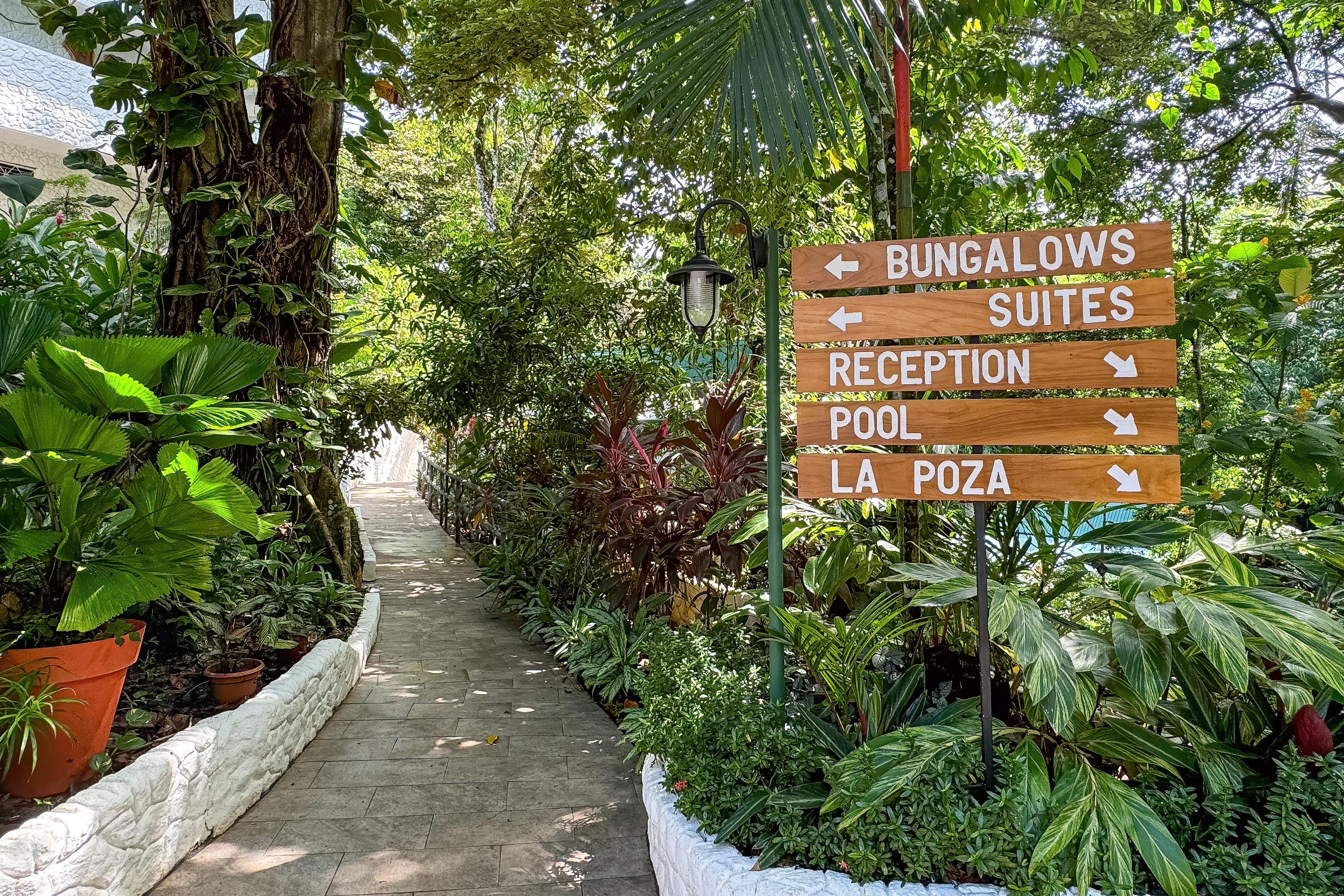 Ecotica Boutique (adults Only) Manuel Antonio