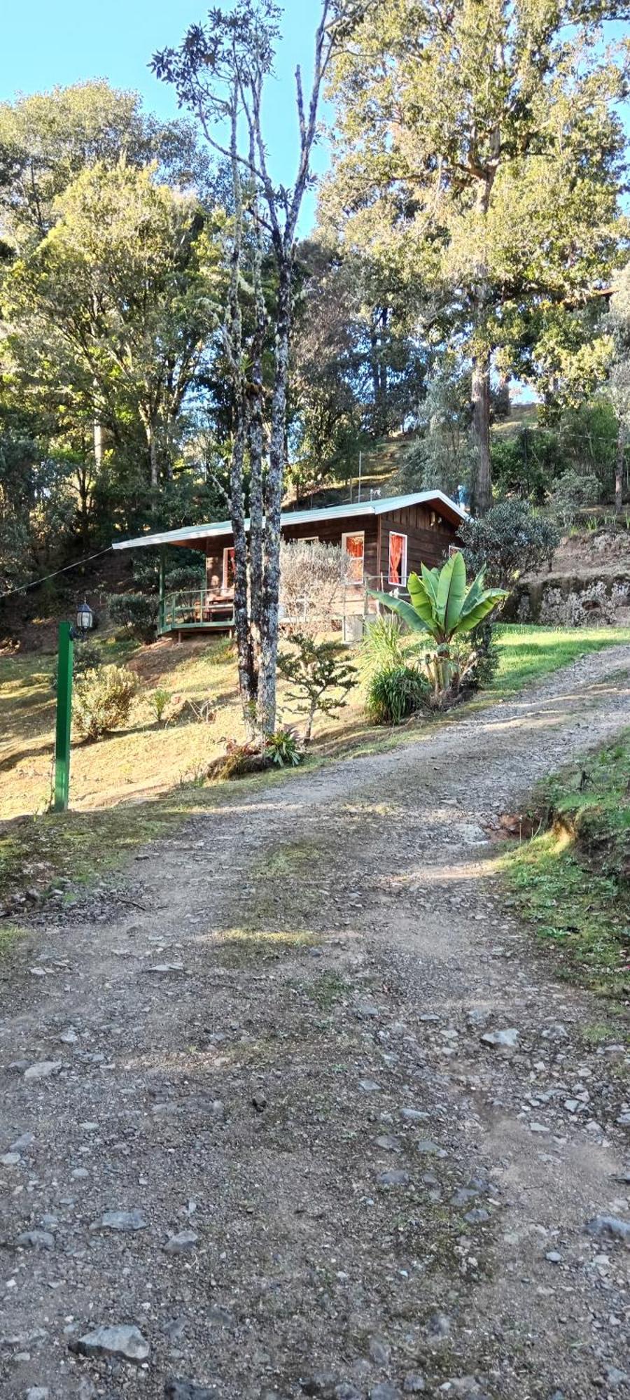Bed & Breakfast Miriam's Quetzals San Gerardo de Dota