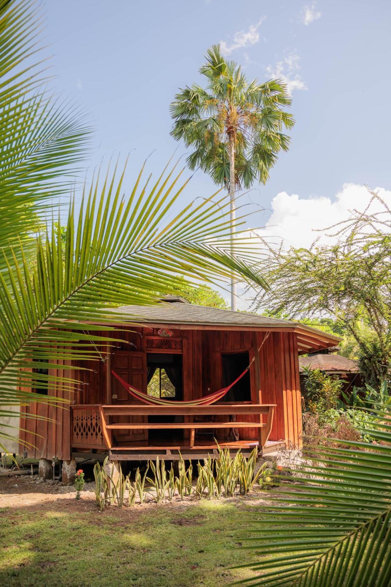 Ache Lodge Cahuita