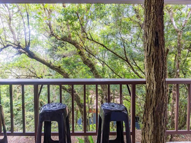 Apartment Cantos Del Bosque Monteverde