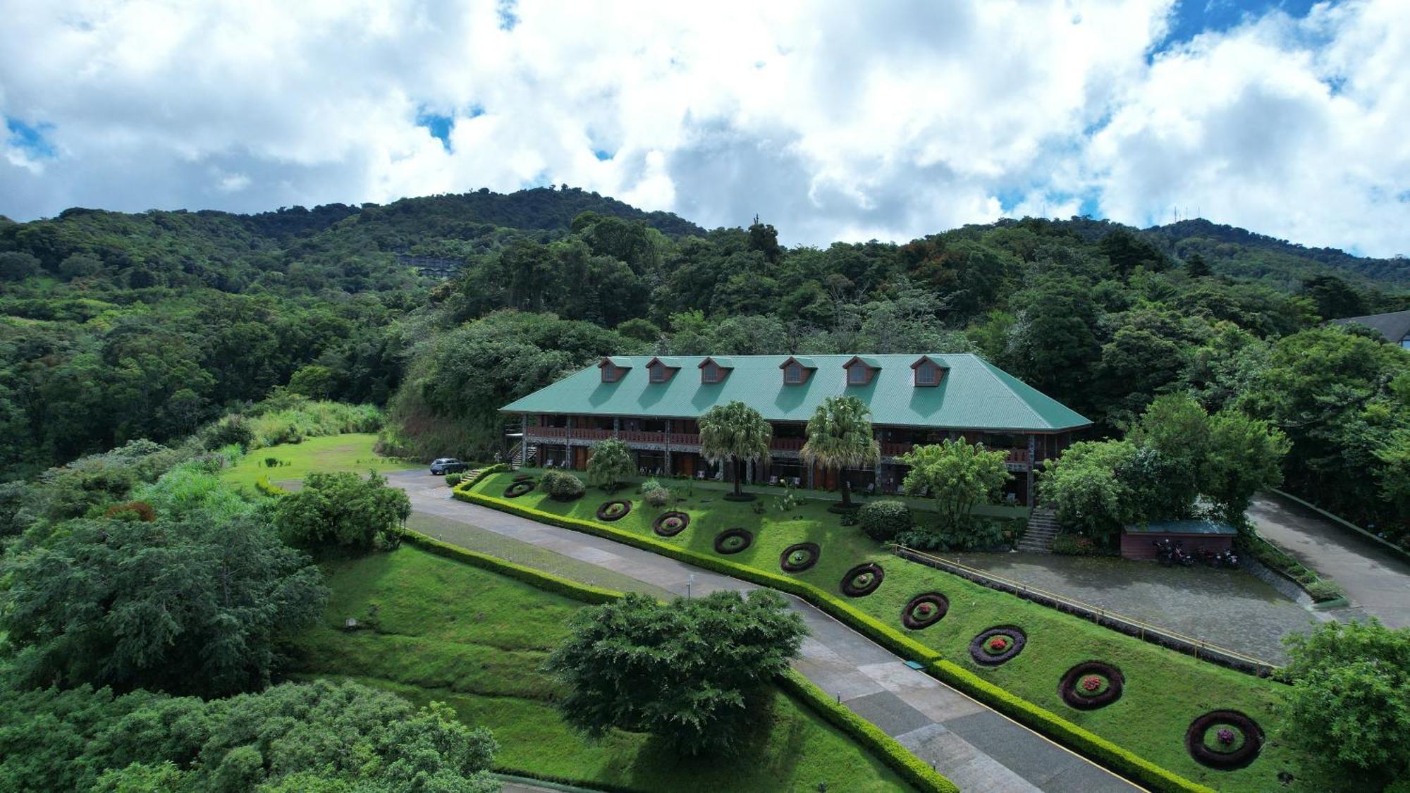 Heliconia - Monteverde