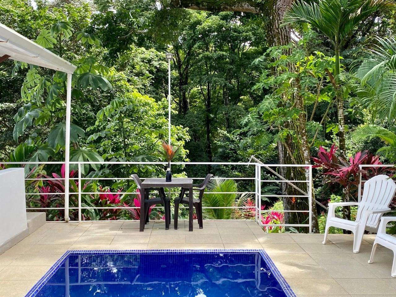 Hotel Ballena Dorada
