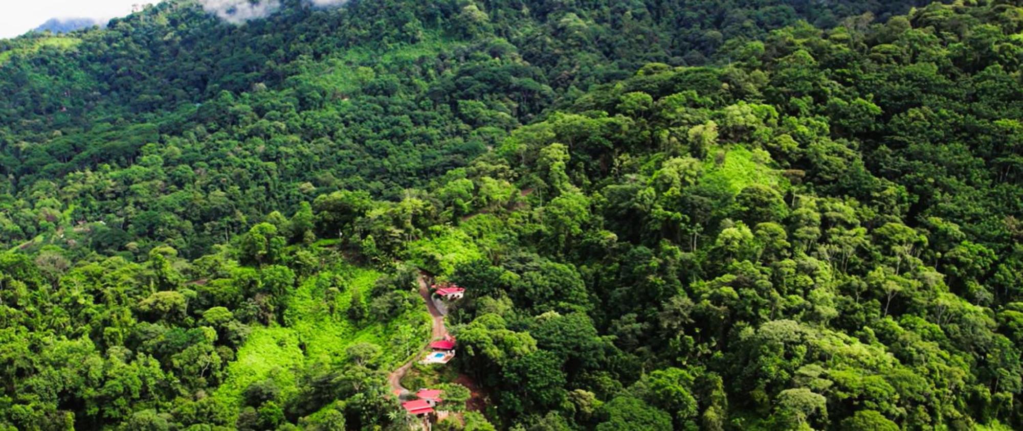 Nature's Edge Boutique Lodge Uvita