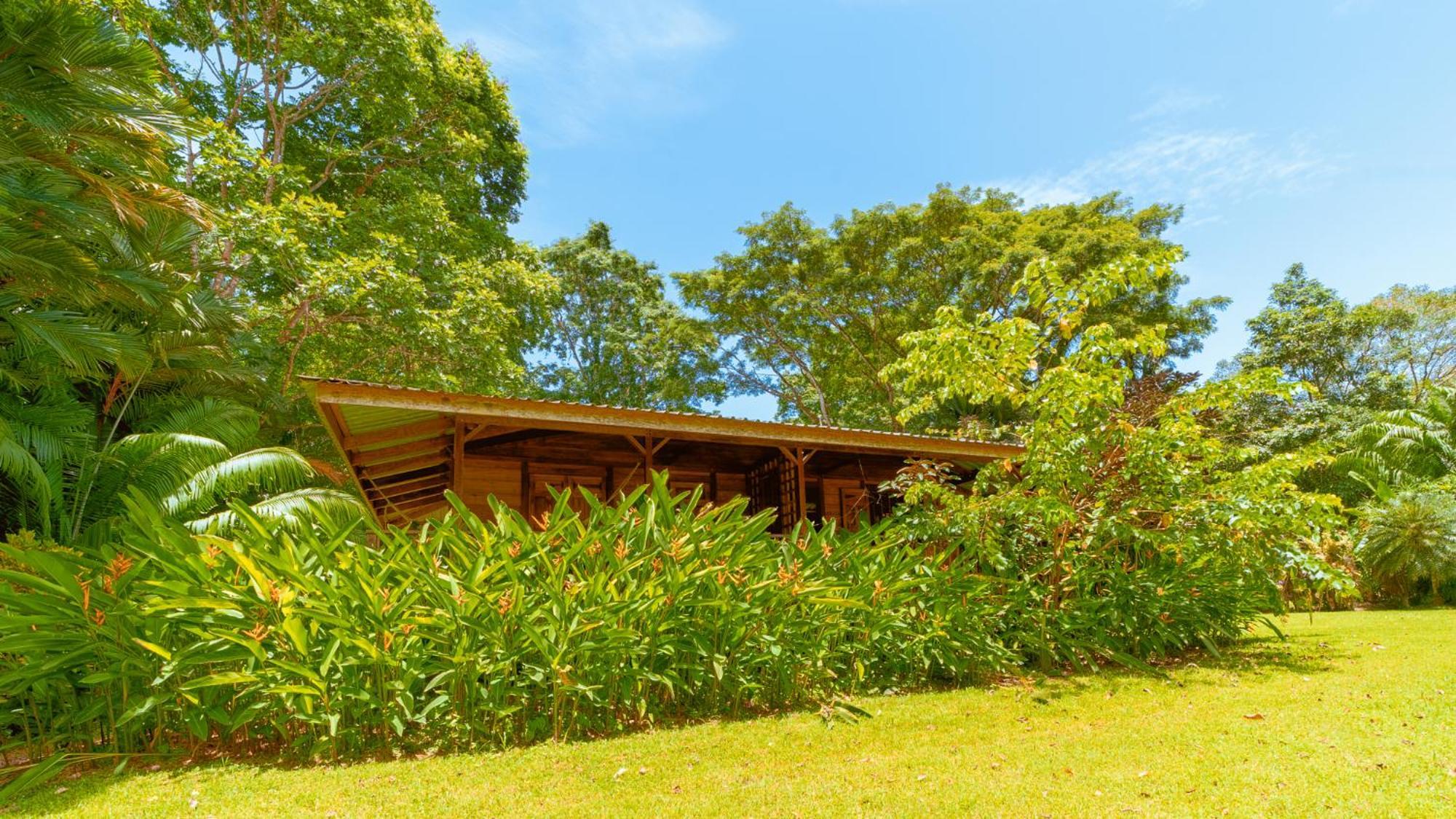 Casa Viva * Puerto Viejo de Talamanca