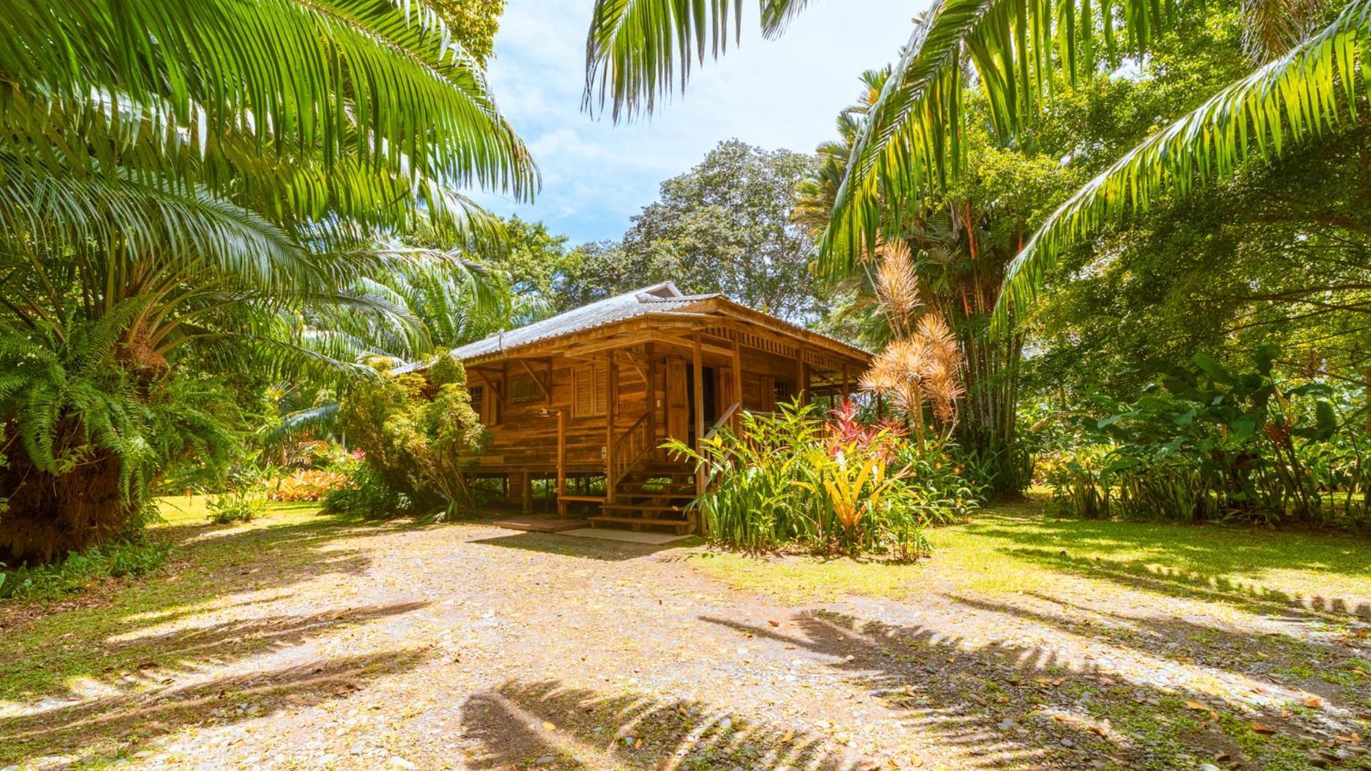Casa Viva *