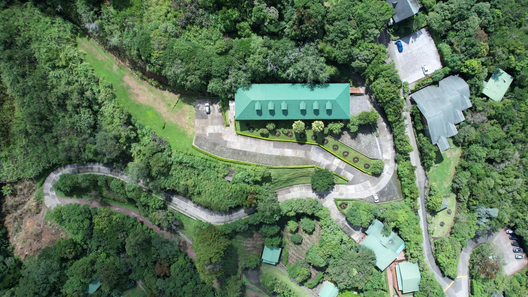 Heliconia - Hotel Monteverde