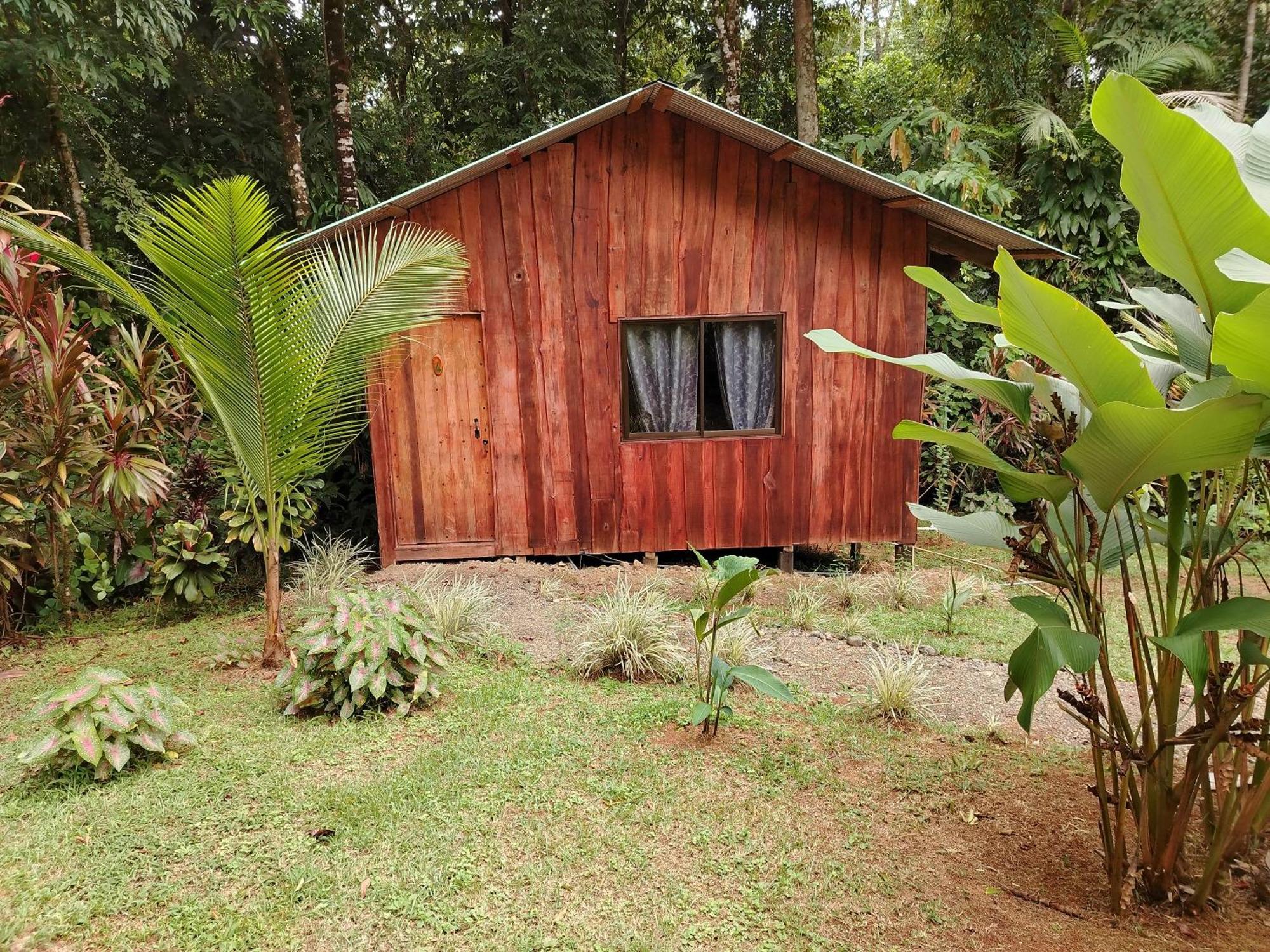 Hotel Citronela Corcovado Drake Bay