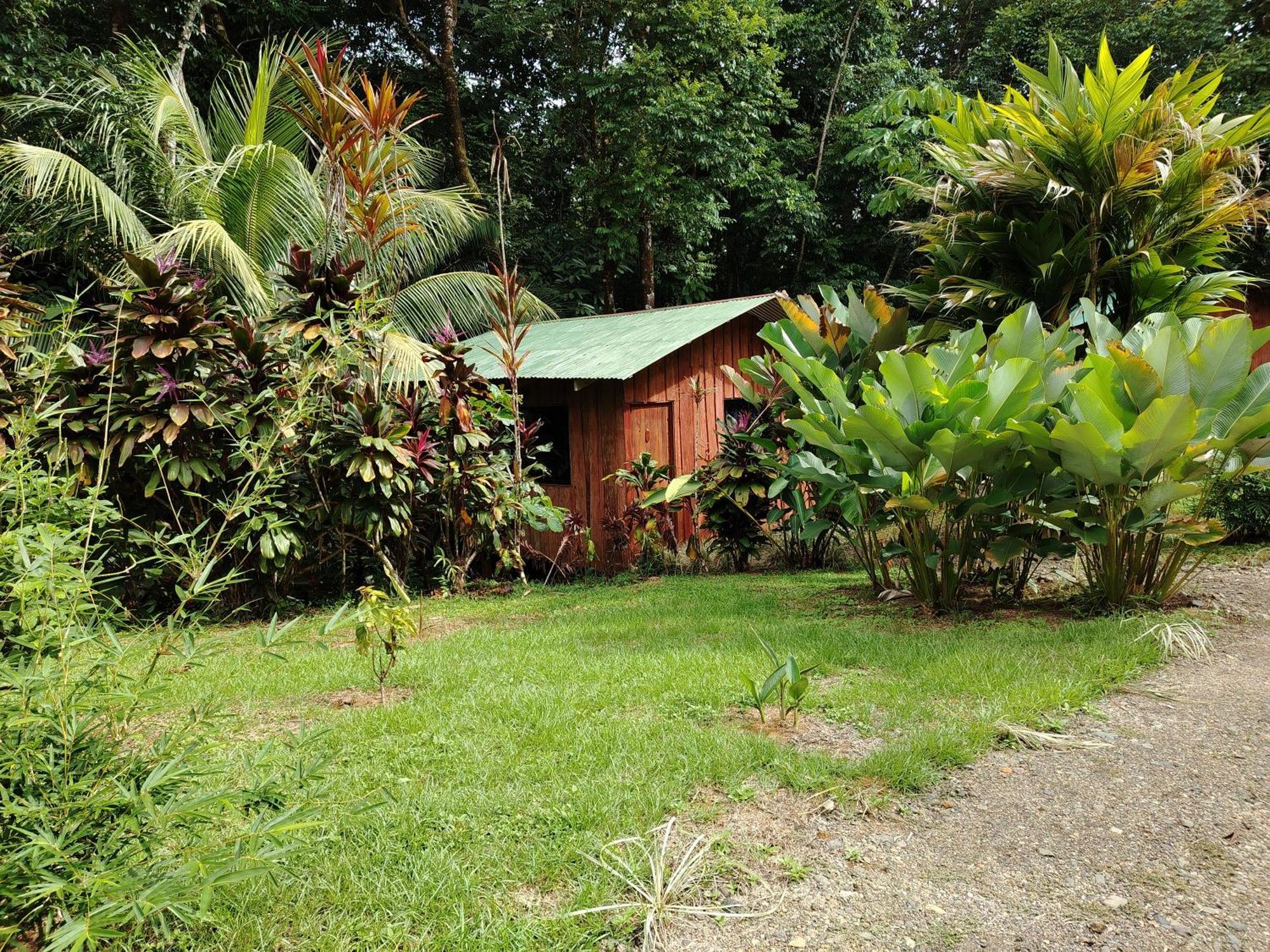 Citronela Corcovado Hotel