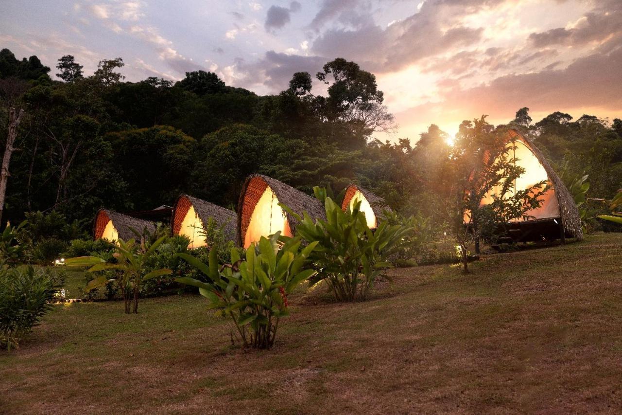 Farm stay Esquipulas Rainforest *