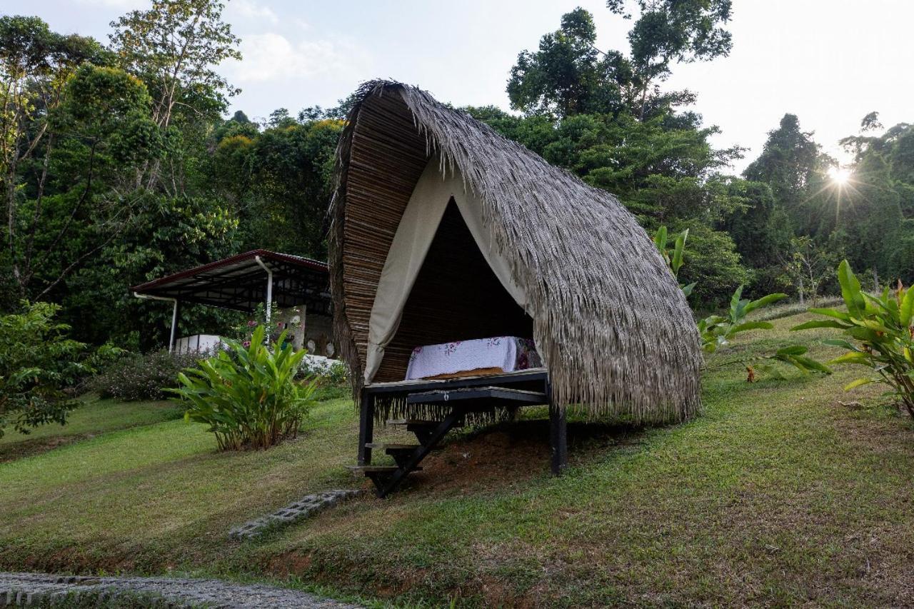Esquipulas Rainforest Farm stay