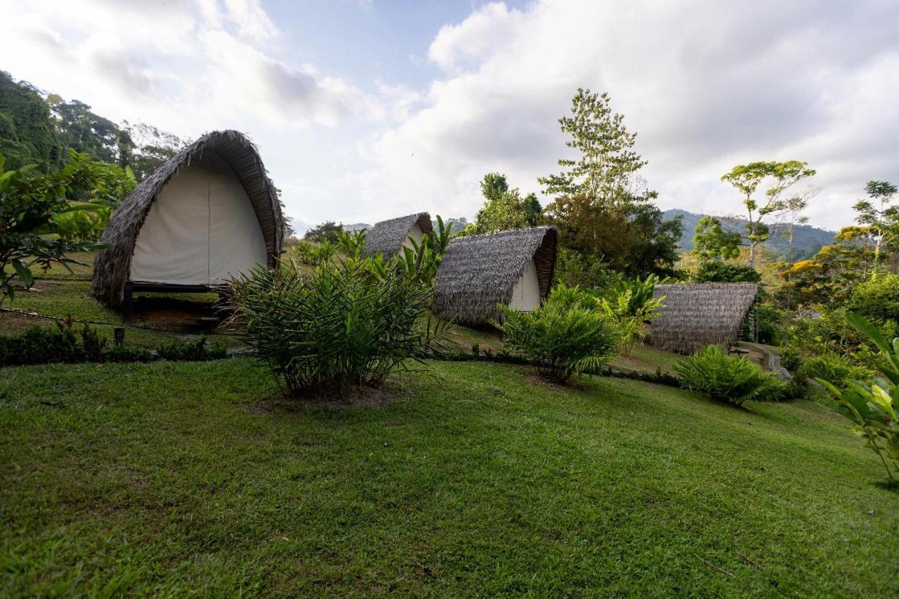 Farm stay Esquipulas Rainforest