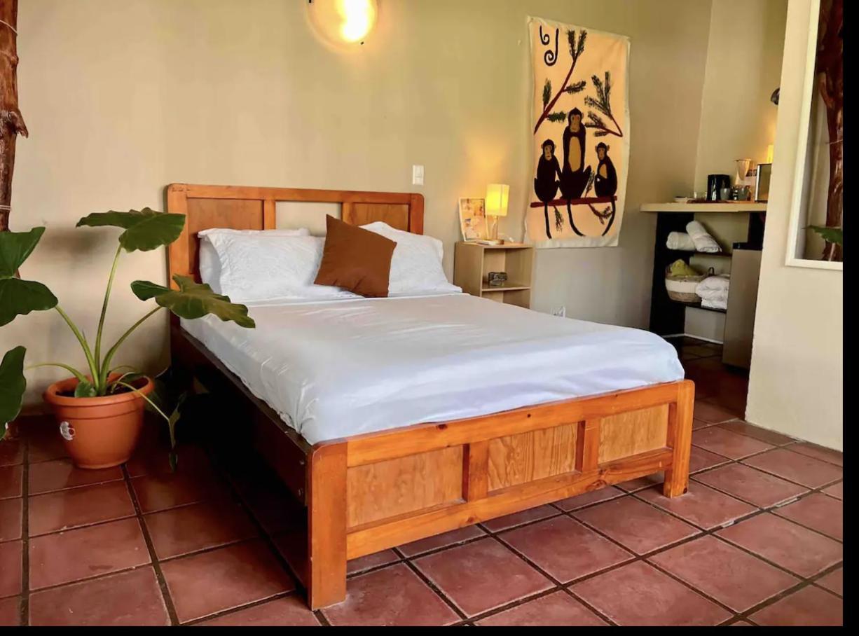 Mizaru Ocean View Manuel Antonio Bed & Breakfast