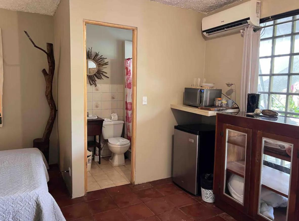 Bed & Breakfast Mizaru Ocean View Manuel Antonio