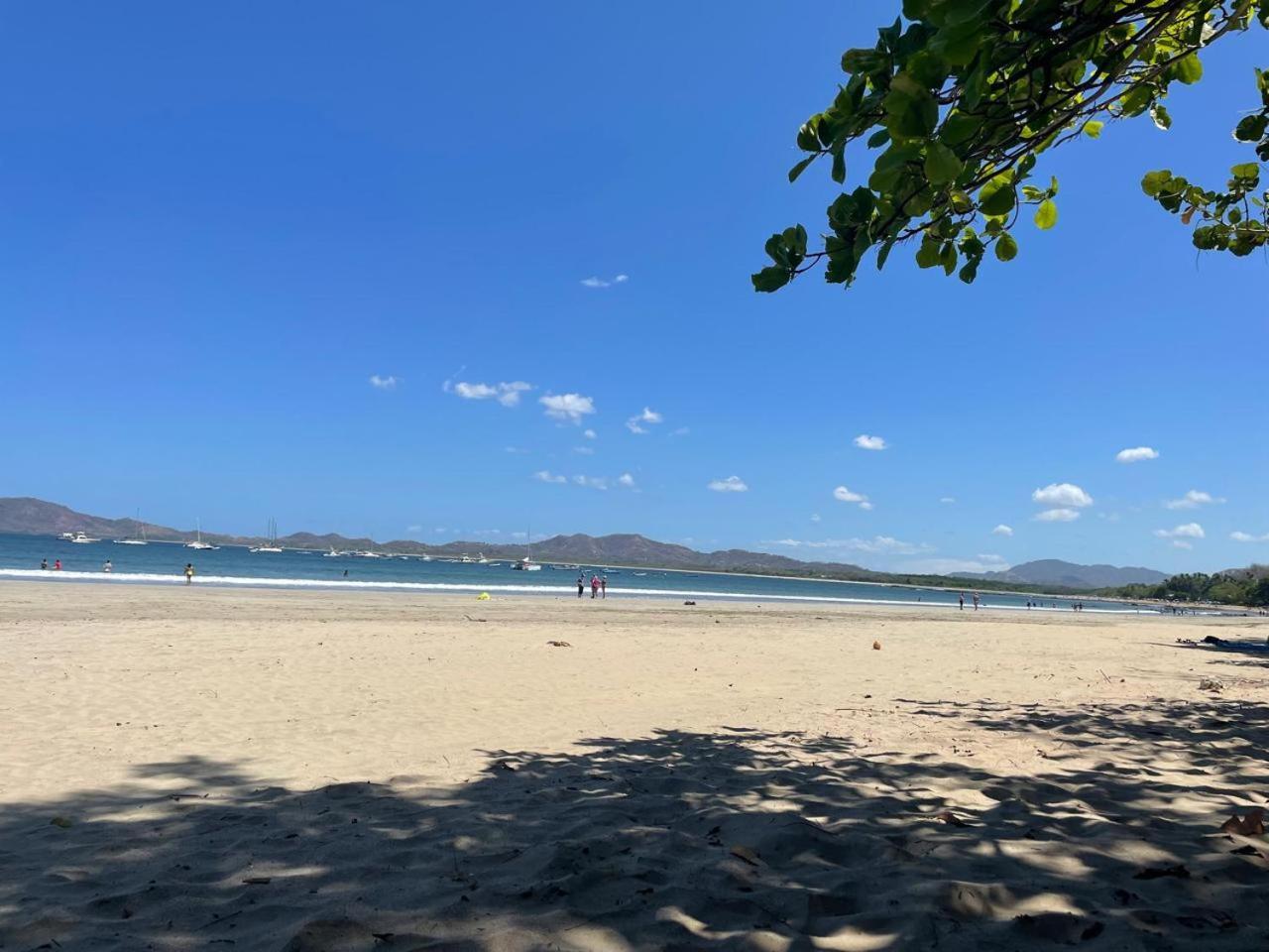 Apartment Beach, Prime Location, Fantastic Watersalt Pool & Cold Plunge, Family & Friends