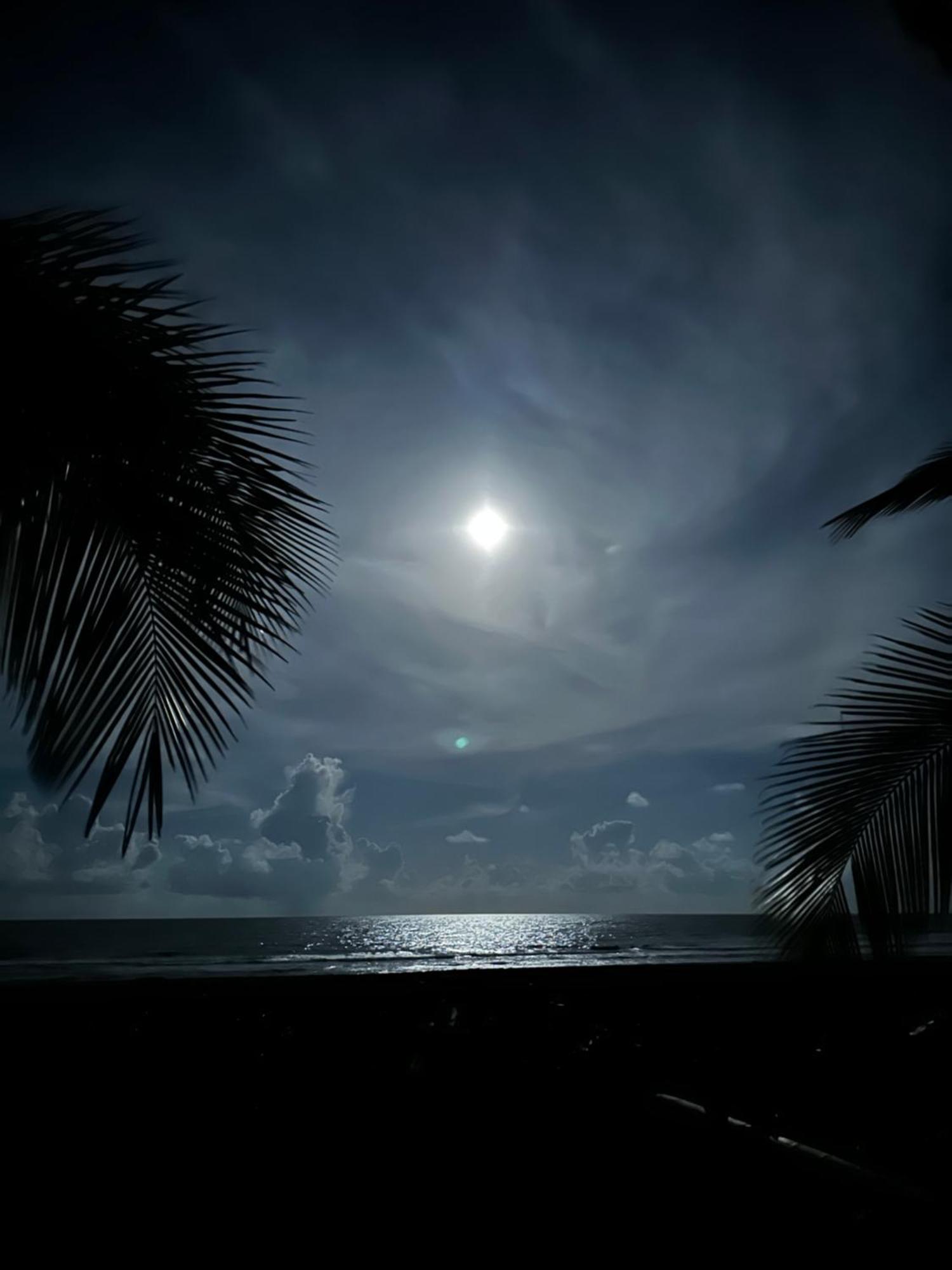 Caribbean View House Tortuguero