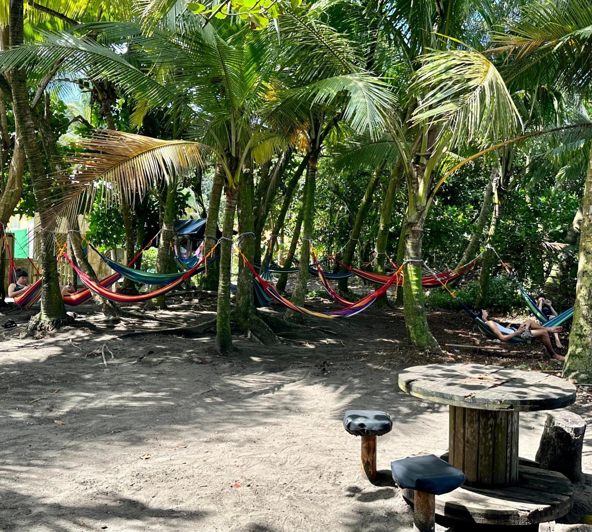 Caribbean View House Guest house Tortuguero