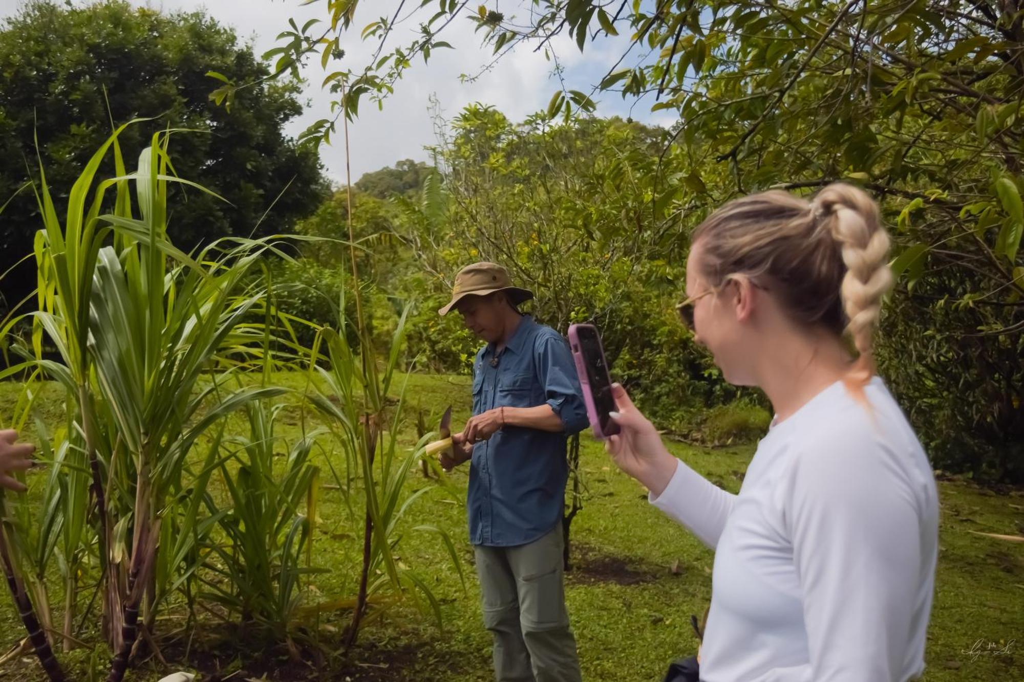 Lodge Essence Arenal & Yoga El Castillo