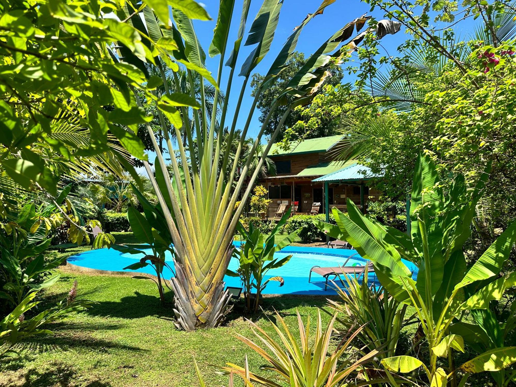 Holiday home Oasis Retreat With And Uvita