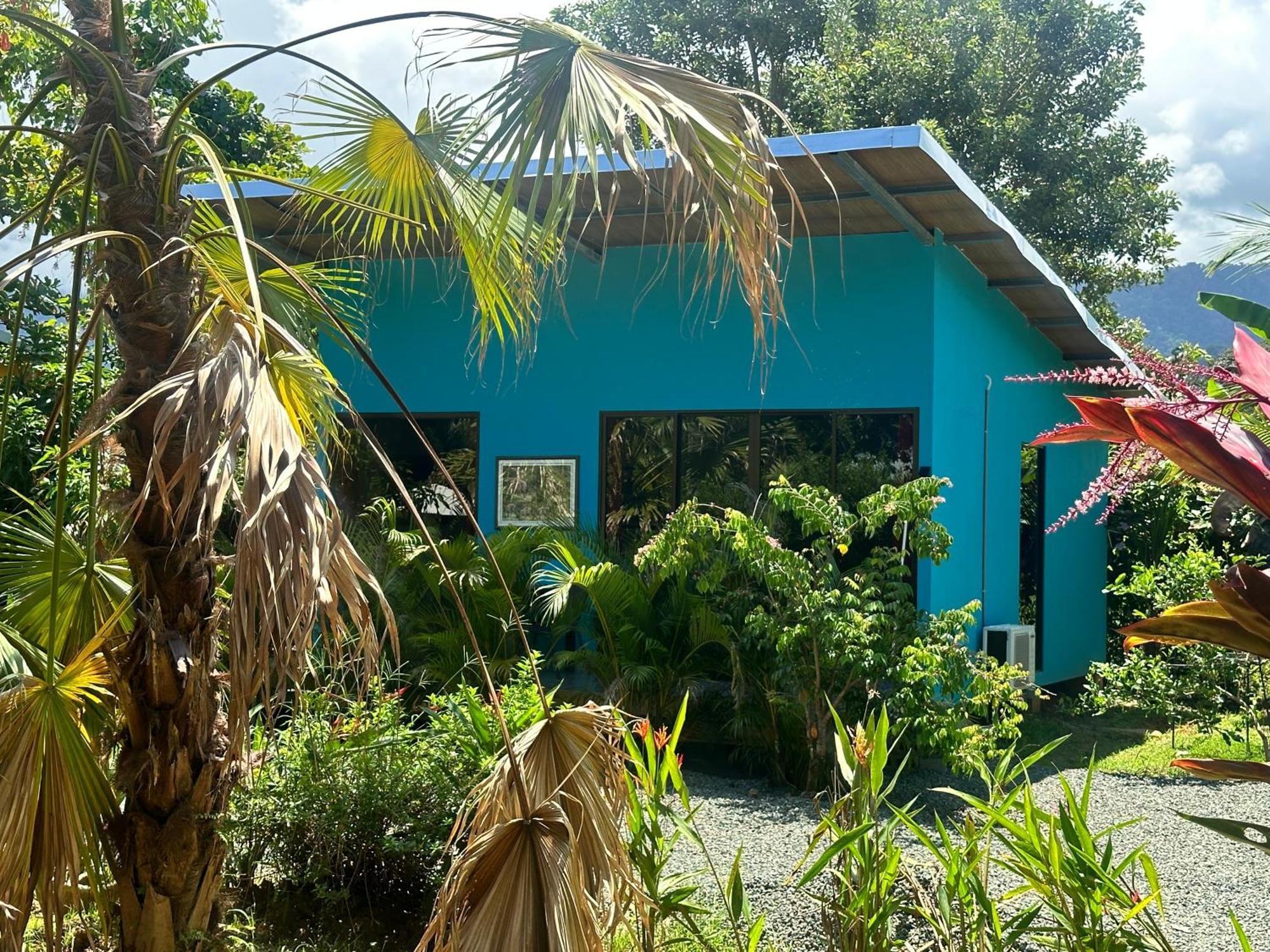 Oasis Retreat With And *