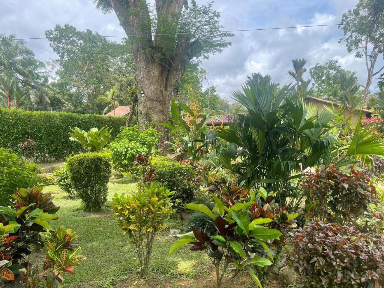 Resort La Foresta Nature Quepos
