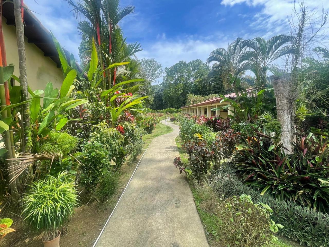 La Foresta Nature 4*