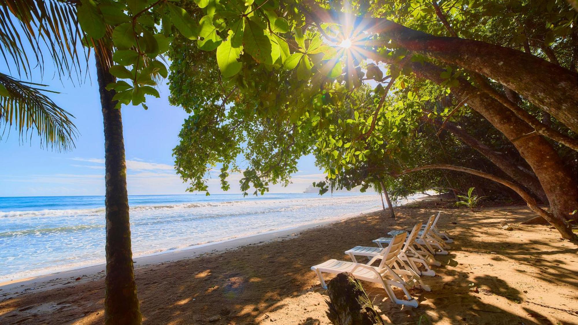 Resort Dragonfly Beachfront Villas-adult Only
