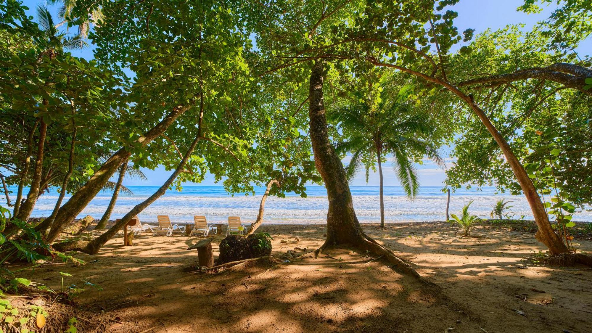 Dragonfly Beachfront Villas-adult Only Resort *