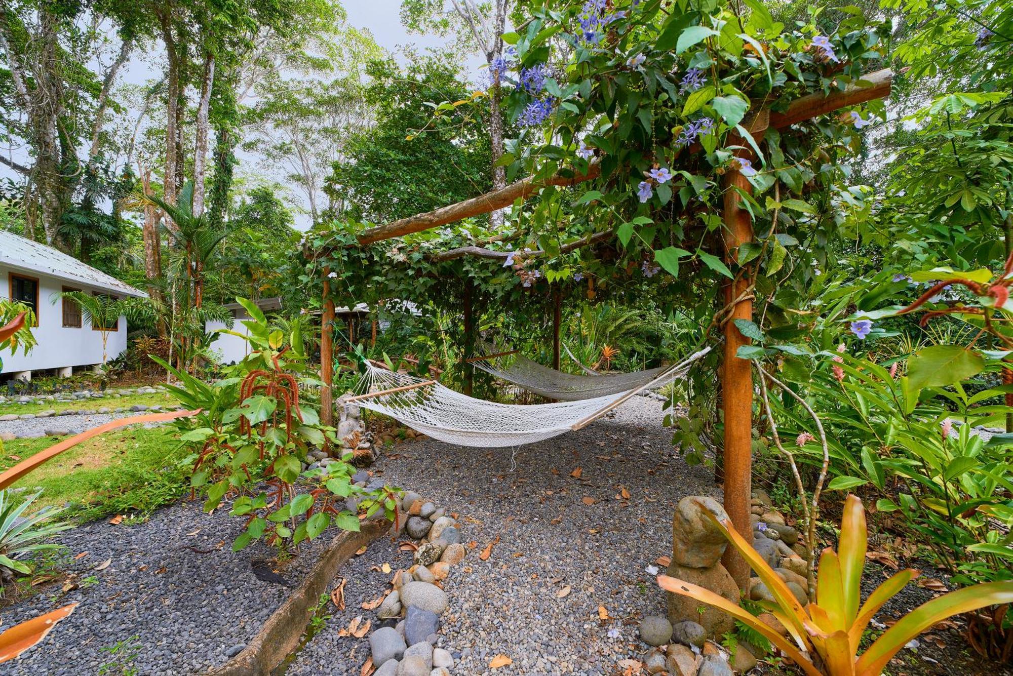 Dragonfly Beachfront Villas-adult Only
